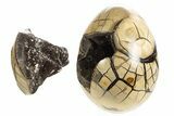 Septarian Dragon Egg Geode - Removable Section #329480-3